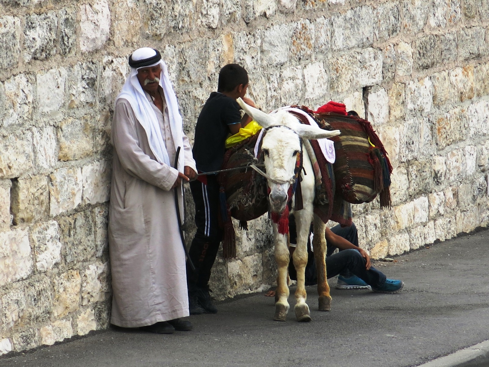 Terre sainte Israël Les gens Palestinien et son âne