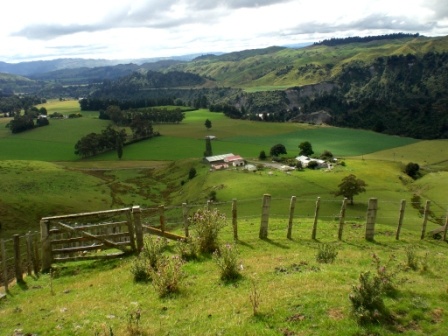 La Nouvelle-Zélande, le pays au long nuage blanc