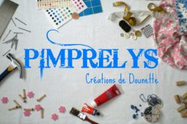 Bannière de blog Pimprelys