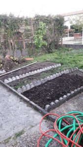 permaculture 4