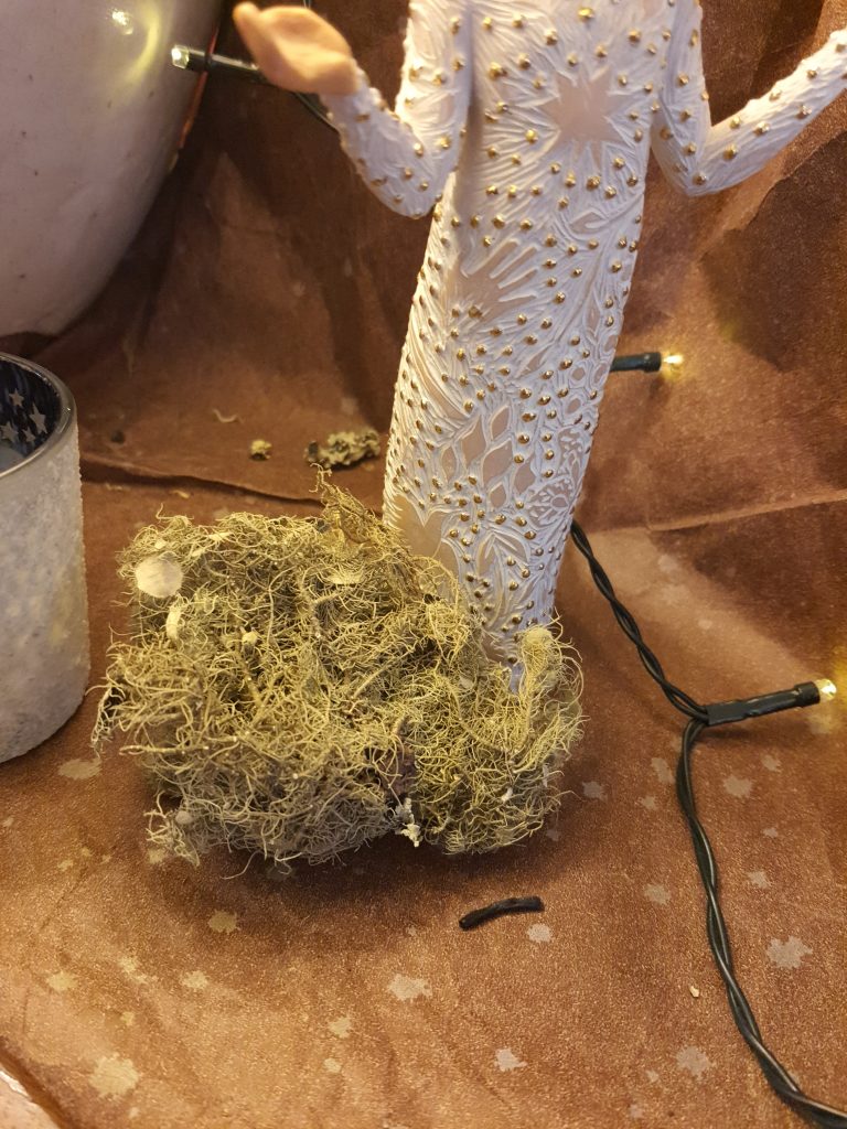 Lichen - mousse - crèche